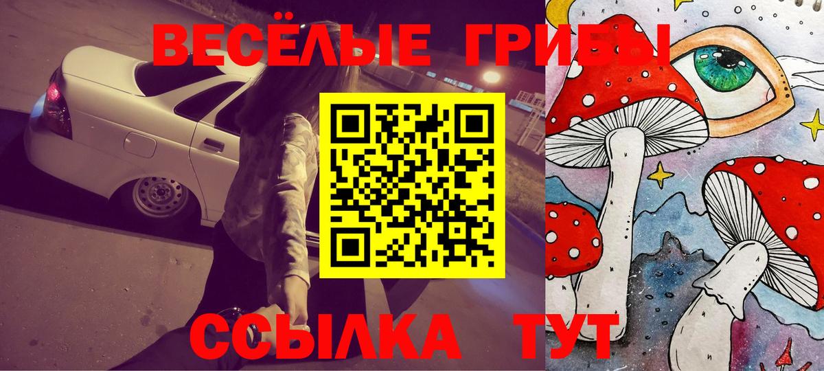 Галлюциногенные грибы GOLDEN TEACHER  Вход с VPN  Псилоцибиновые грибы мухоморы  Татарск 