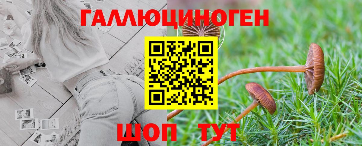 Галлюциногенные грибы Magic Shrooms Татарск